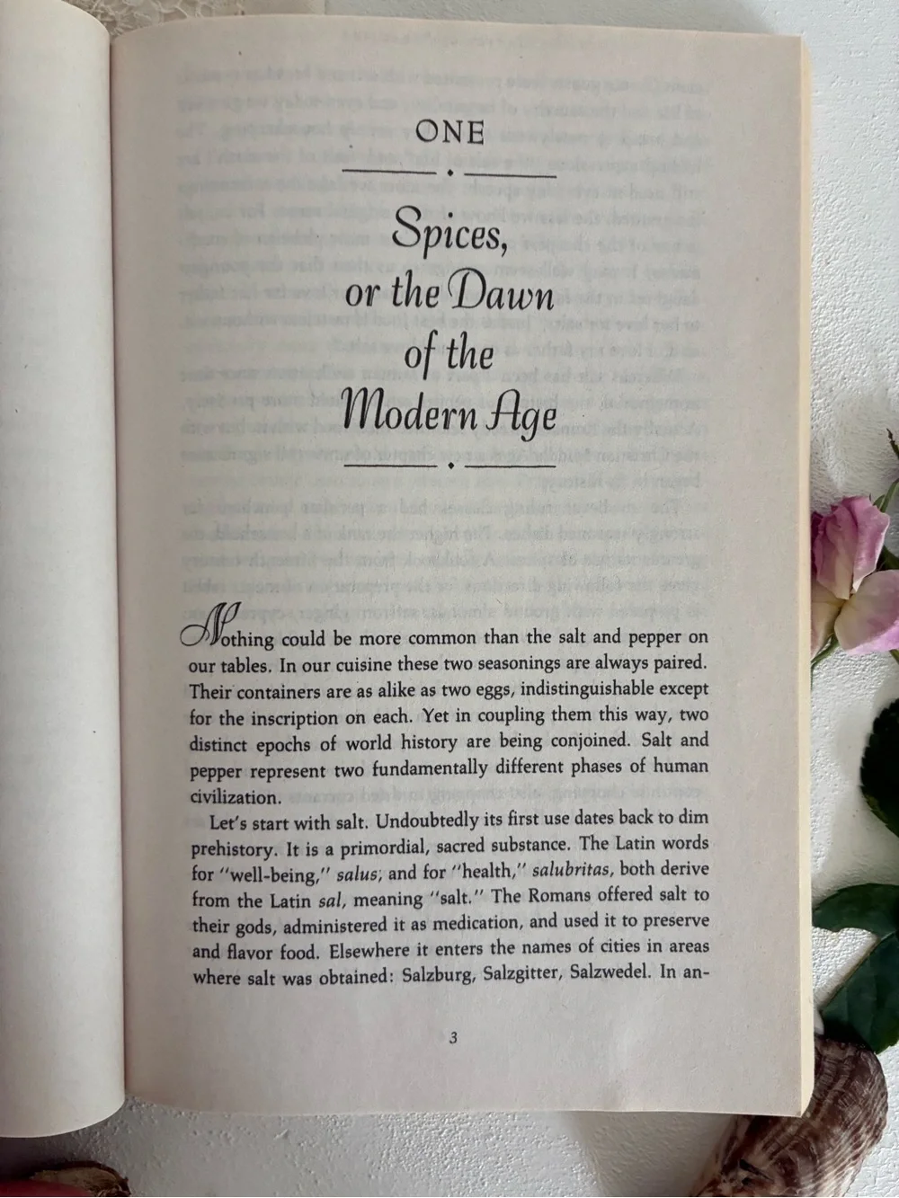 Tastes of Paradise Paperback Book - Wolfgang Schivelbusch